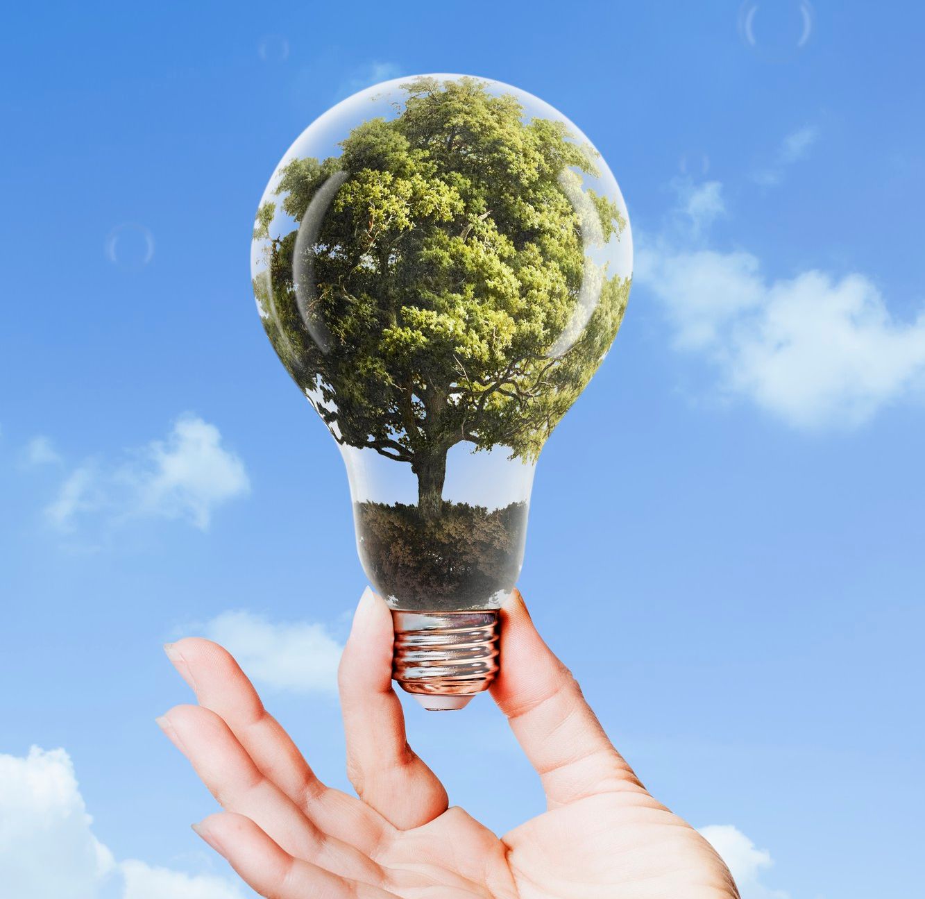 How to Create a More Sustainable Home: Small Changes for a Greener Lifestyle